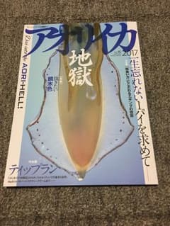 アオリイカ地獄 ＮＯ16のサムネイル