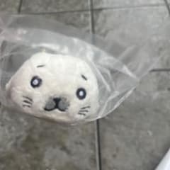 소년 아시베 참깨 가챠 가챠