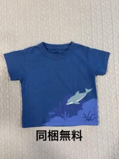 いるかTシャツのサムネイル