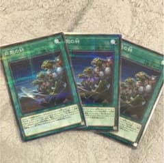 同胞の絆 3枚のサムネイル