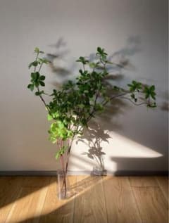 新品未使用  ドウダンツツジ  フェイクグリーン  2本セット  観葉植物のサムネイル
