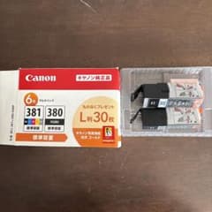 Canon381インクカートリッジ380ブラック2個PGBK2025.11のサムネイル