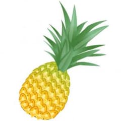 アップル 様 専用‼️のサムネイル