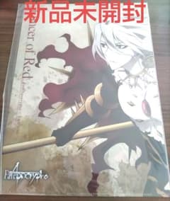[클리어 파일]Fate Apocrypha 랜서 카르나