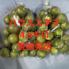 ハウススダチ　4.5キロ　気になる方コメント下さい。 ハウススダチ 4.5キロ 気になる方コメント下さい。 - メルカリ