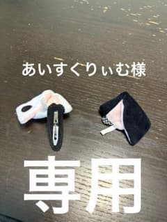あいすくりぃむ様専用のサムネイル
