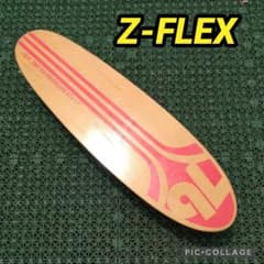 激レア極美✨Z-Flex Mr. Chipper / PENNY GLOBE - メルカリ