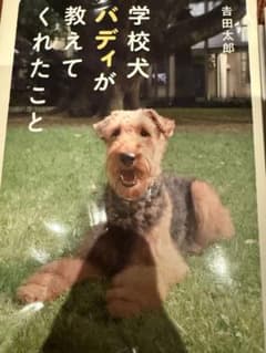 学校犬バディが教えてくれたこと他2冊　 #東洋英和女学院小学部のサムネイル