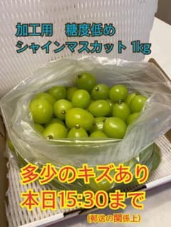 [1-13]シャインマスカット  加工用(糖度低め)1kgのサムネイル