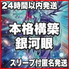 銀河眼 ギャラクシーアイズ 本格構築済みデッキ 遊戯王 銀河眼の輝光子