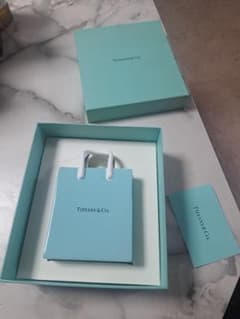 【新品未使用】ティファニー ショッピングバッグ型 陶器 オーナメント ティファニー ショッピングバッグ オブジェ インテリア 置物 陶器 花瓶