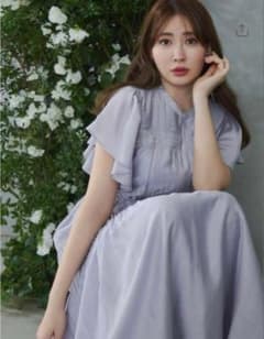 herlipto Little Butterfly Sleeve Dress - メルカリ