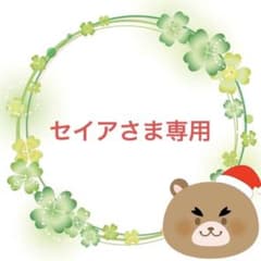 ④セイアさま専用のサムネイル