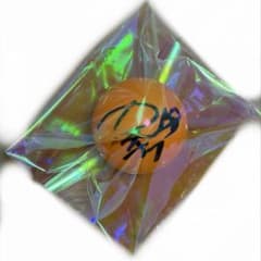 m40707448073_1.jpg?1775844937
