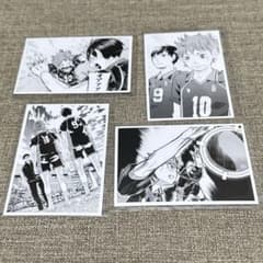 ハイキュー 10th クロニクル 思い出スナップフォトカード 日向 影山