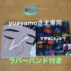 マカロニえんぴつ 大人の涙 初回限定盤 CD+DVD ラバーバンド付のサムネイル