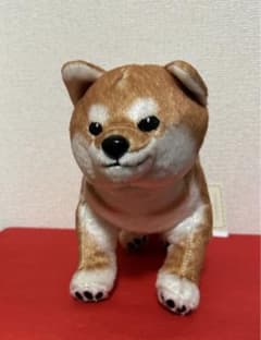 柴犬　ぬいぐるみ　FANS