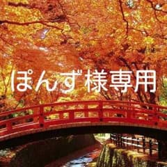 ぽんず様専用☆のサムネイル