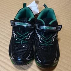 瞬足  20センチのサムネイル