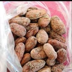カカオ生豆(インドネシア産)100㌘のサムネイル