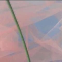 佑太郎様専用のサムネイル