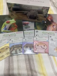 이치 반 쿠지 파충류 & 양서류 B 상 후토아고히게 도마뱀 외