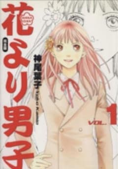 最安値！【中古】花より男子【完全版＜全２０巻セット＞ / 神尾葉子コミックセットのサムネイル