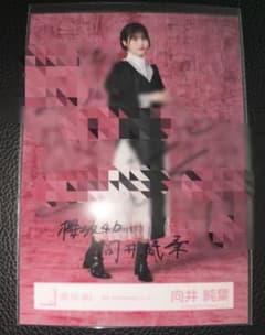 櫻坂46 向井純葉 直筆 生写真 5thアニラ ドレス ヒキ ランダム サイン 櫻坂46 向井純葉 直筆 生写真 5thアニラ ドレス ヒキ ランダム サイン
