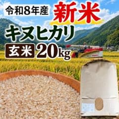 新米【 玄米 】きぬひかり 20kg 令和8年産 京都府産 - メルカリ