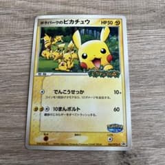 ポケパークのピカチュウ PROMO PCG-Pプロモカード 043/PCG-P