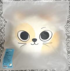 BOYNEXTDOOR プネクド ソンホ CATBBI キャッピー クッション