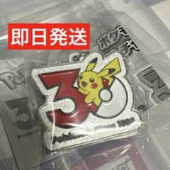 ポケモン３０周年メタルチャーム　めじるしアクセサリー　ピカチュウのサムネイル
