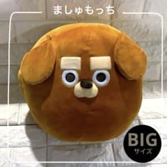 ぬ。それは、眉毛の太い犬。／ましゅもっち ぬいぐるみ〜だっくす