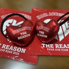 EXILE LIVE TOUR 2025 ヘアゴム 2種セットのサムネイル