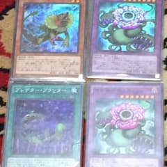 捕食植物セットのサムネイル