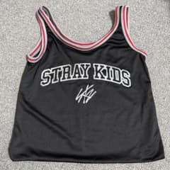 Stray Kids スキズ エコパ アプグレ 特典 メッシュ バック グッズ