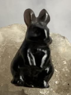 天然石 彫刻パーツ うさぎさん モリオン 貫通穴あり - メルカリ