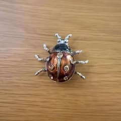 てんとう虫 ブローチ LADY BUG 琥珀色×黒×シルバーのサムネイル
