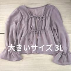 大きいサイズ3Lリボンピンクシフォンシアードット透け感ブラウスキャンディスリーブのサムネイル