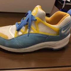 エアハラチ NIKEのサムネイル