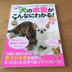 いつもの行動を観察すれば犬の本音がこんなにわかる! 560枚の写真で解説のサムネイル