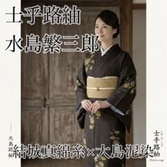 極美品【士乎路紬】水島繁三郎 証紙付 結城真綿糸×大島泥染 丈165裄丈 