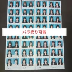 seju証明写真　30枚セット　バラ売り可 seju 証明写真 まとめ売り16枚バラ売り可能 - メルカリ