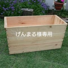 げんまる様専用リンゴ箱1個送料込み。のサムネイル