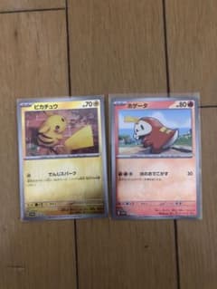 ポケカの夏がキタ！プロモカードGetキャンペーン！２枚セットのサムネイル