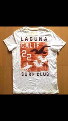ホリスターtシャツのサムネイル