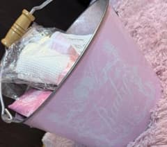 新品未使用♡Rady♡お掃除セットのサムネイル