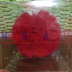 Hey!Say!JUMP  コンサートグッズのサムネイル