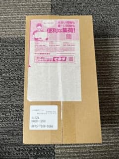 新品未開封 シュリンク付き 納品書付 ヒロシマスペシャルBOX ポケモンセンターのサムネイル