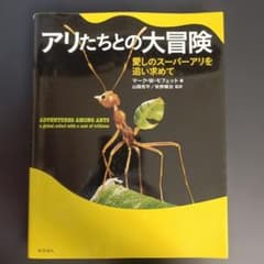 アリたちとの大冒険 愛しのスーパーアリを追い求めてのサムネイル